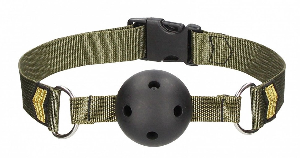 Voyaga etgan pornografik fotosuratlar